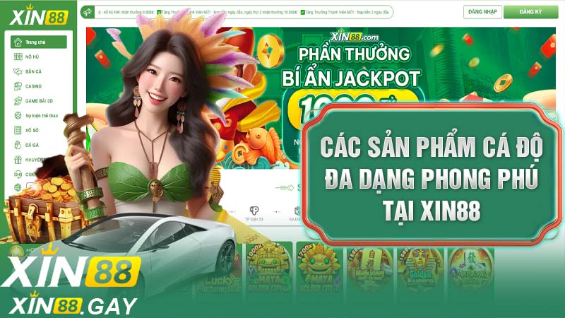 Các sản phẩm cá độ đa dạng phong phú tại XIN88